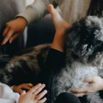 Детская комната в стиле собачьего домика с деревянной мебелью